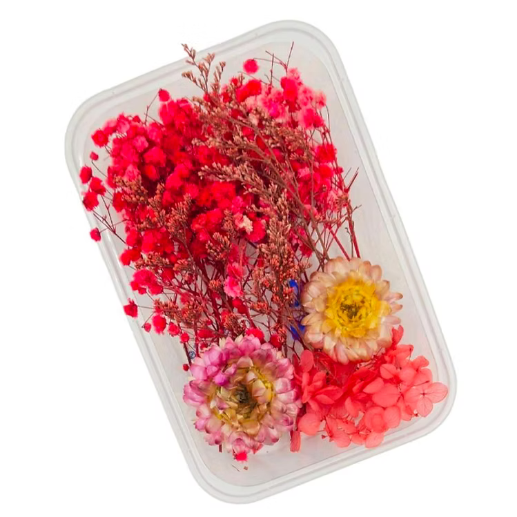 Dry Flowers