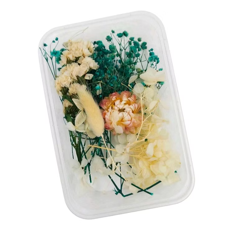 Mixed Dry Flower Box DIY667